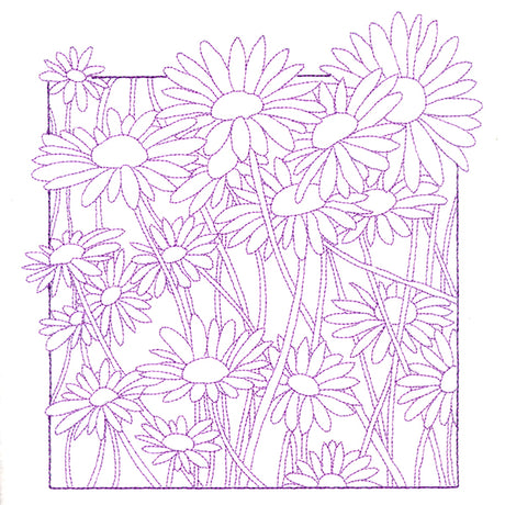 Outside the Box Blooms - Daisies