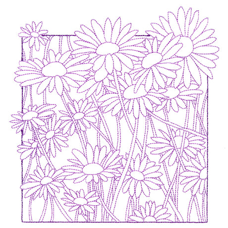 Outside the Box Blooms - Daisies