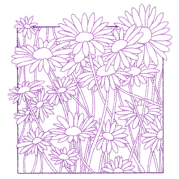 Outside the Box Blooms - Daisies