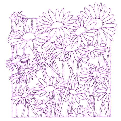 Outside the Box Blooms - Daisies