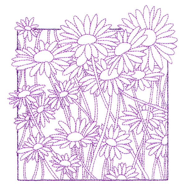 Outside the Box Blooms - Daisies