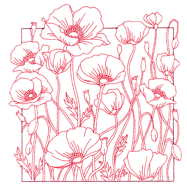 Outside the Box Blooms - Poppies