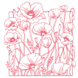 Outside the Box Blooms - Poppies