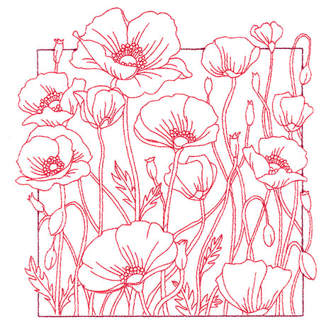 Outside the Box Blooms - Poppies