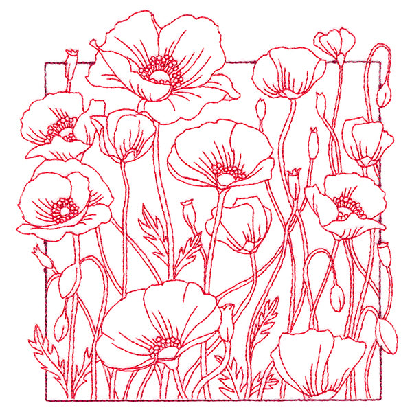 Outside the Box Blooms - Poppies