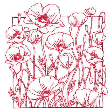 Outside the Box Blooms - Poppies