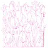 Outside the Box Blooms - Tulips