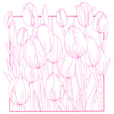 Outside the Box Blooms - Tulips