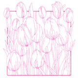 Outside the Box Blooms - Tulips