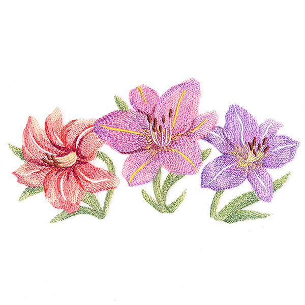 Daylilies in Watercolor