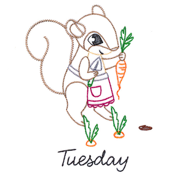 Carrot Collecting Squirrel on Tuesday