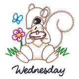 Acorn Loving Squirrel on Wednesday