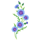 Classic Cornflower Spray