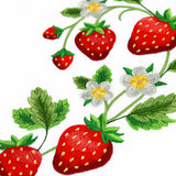 Sensational Strawberry Spray
