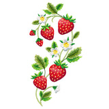 Sensational Strawberry Spray