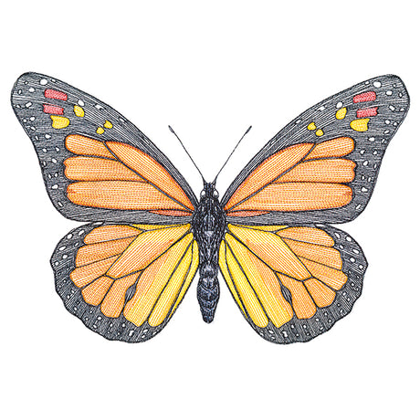 Vibrant Monarch Etching