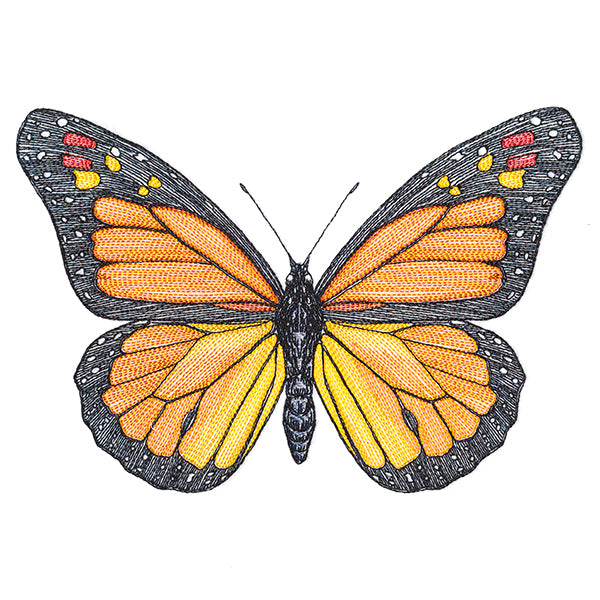 Vibrant Monarch Etching