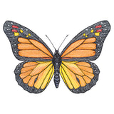 Vibrant Monarch Etching