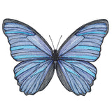 Vibrant Blue Morpho Etching