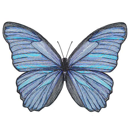 Vibrant Blue Morpho Etching