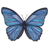 Vibrant Blue Morpho Etching