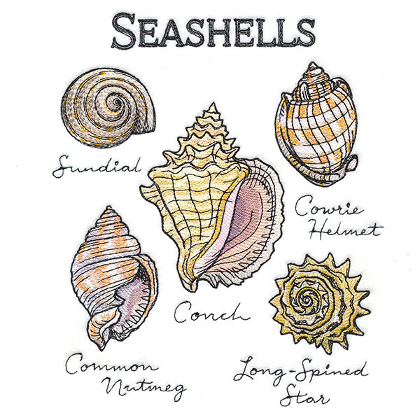 Seashells By The Seashore Chart