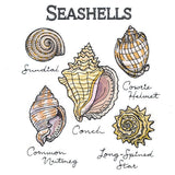 Seashells By The Seashore Chart