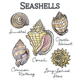 Seashells By The Seashore Chart