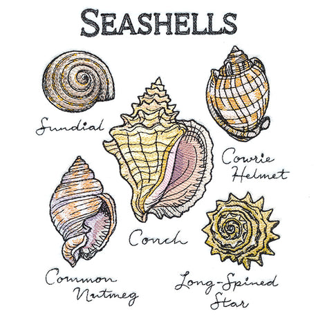 Seashells By The Seashore Chart
