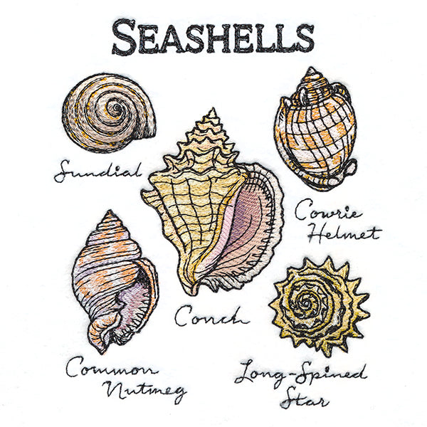 Seashells By The Seashore Chart