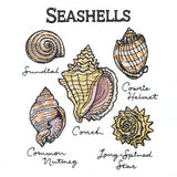 Seashells By The Seashore Chart