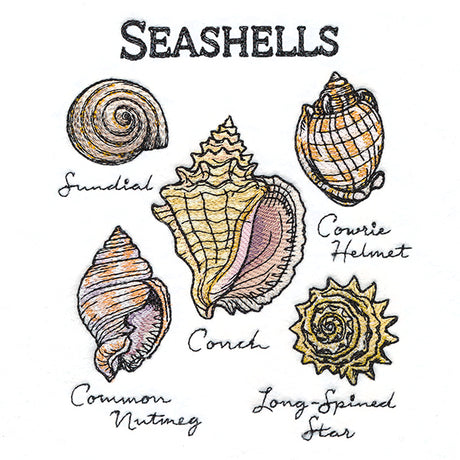 Seashells By The Seashore Chart