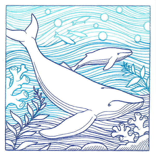 By The Seashore - Whale Etching