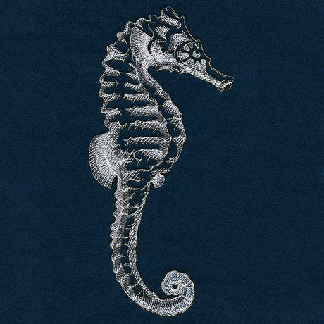 Seaside Etchings - Seahorse