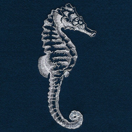 Seaside Etchings - Seahorse