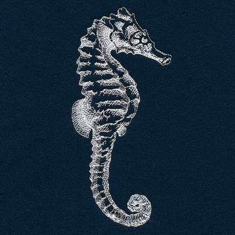 Seaside Etchings - Seahorse