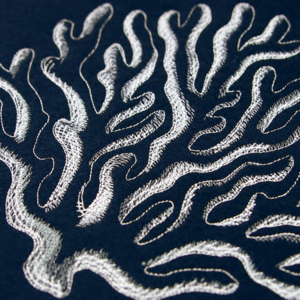 Seaside Etchings - Coral