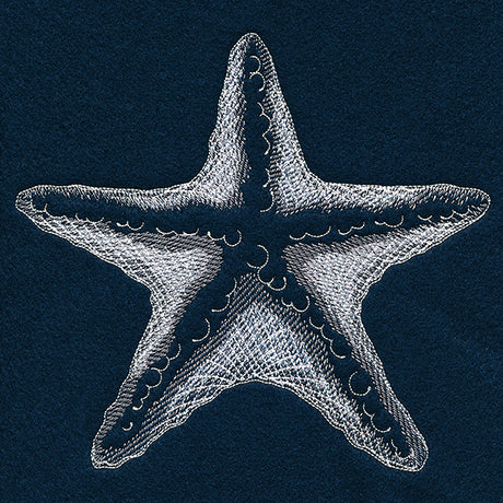 Seaside Etchings - Starfish