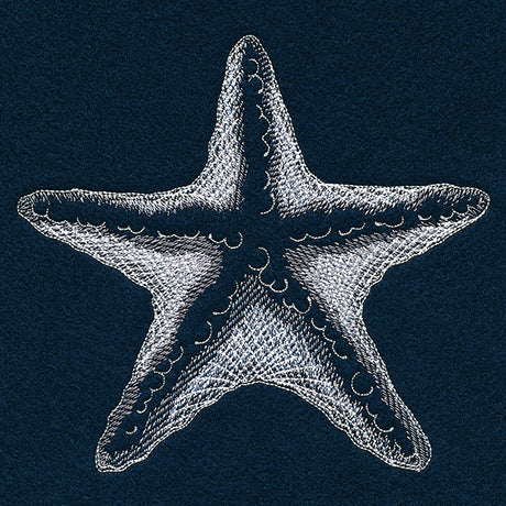 Seaside Etchings - Starfish