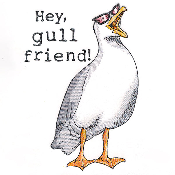 Hey, Gull Friend