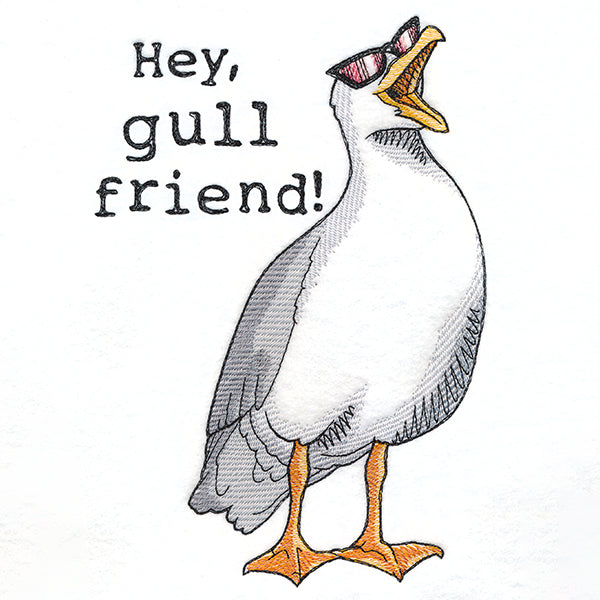 Hey, Gull Friend