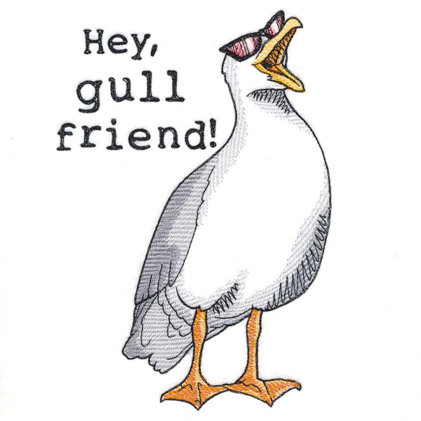 Hey, Gull Friend