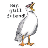 Hey, Gull Friend