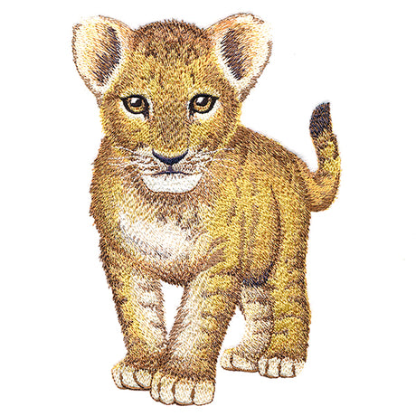 Sweet Baby Lion