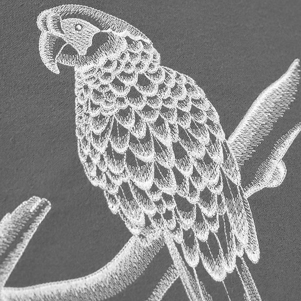 Sheer & Lovely Parrot