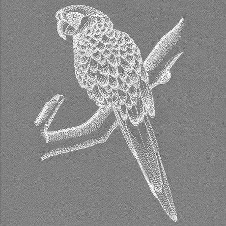 Sheer & Lovely Parrot