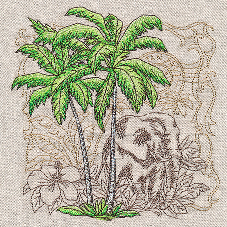 Tropical Oasis Medley