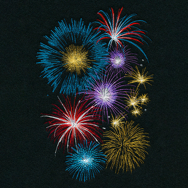 Land of the Free Fireworks Feature