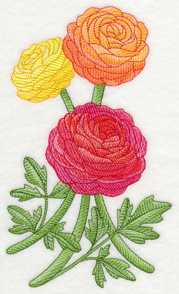 Radiant Ranunculus 1