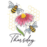 Honeybees & Echinacea On Thursday